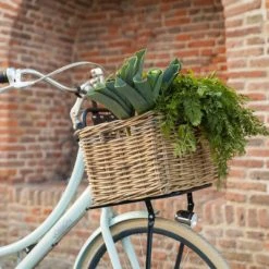 Porte-bagages Avant Pour Vélos De 20 à 24 Pouces Steco 9 Porte-bagages Avant Pour Vélos De 20 à 24 Pouces Steco -Antivols vélo Soldes porte bagages avant pour velos de 20 a 24 pouces steco full 4